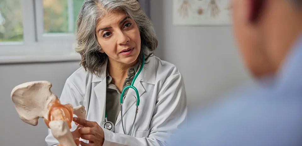 Image of a doctor holding a skeleton of a hip for a patient