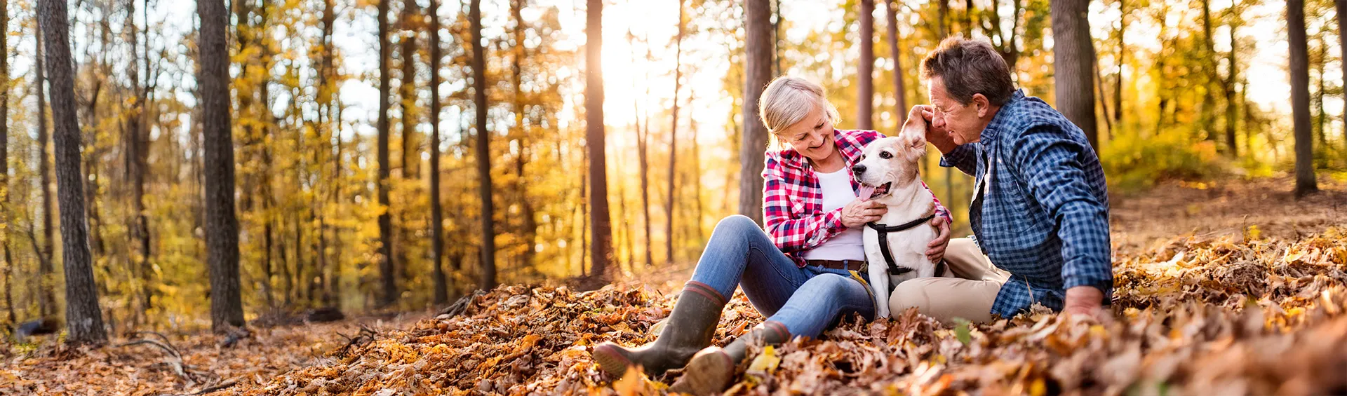 family playing in the leaves with woods in the background