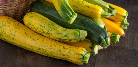 summer squash recipe