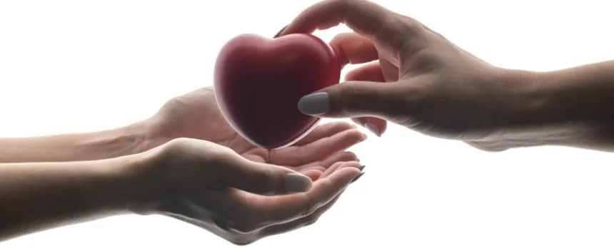 hand giving a pretend heart to another set of hands for organ donation
